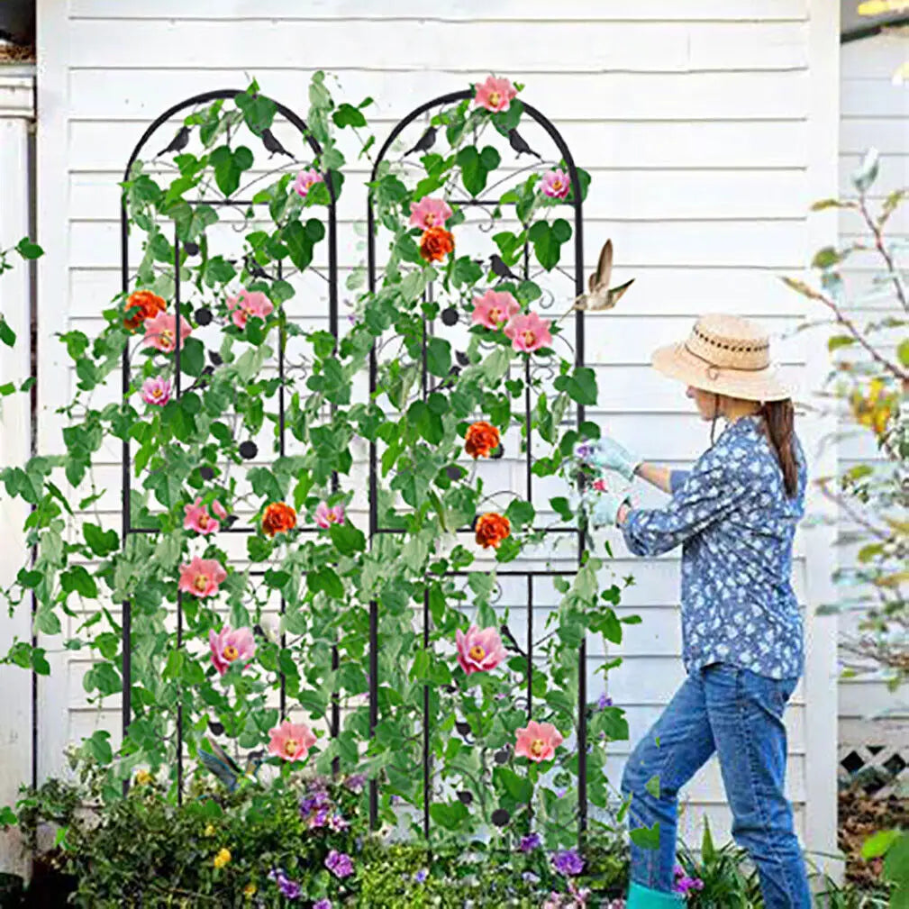 Metal Garden Trellis Fence Anti-Rust Climbing Plant Panels 2-Pack - Home and Haven Store