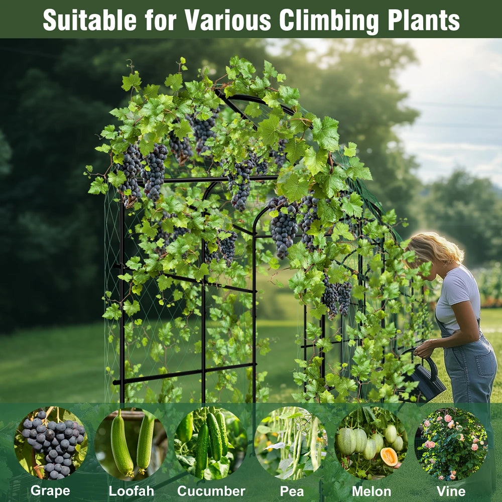 Wisfor U-Shaped Metal Garden Trellis For Climbing Plants