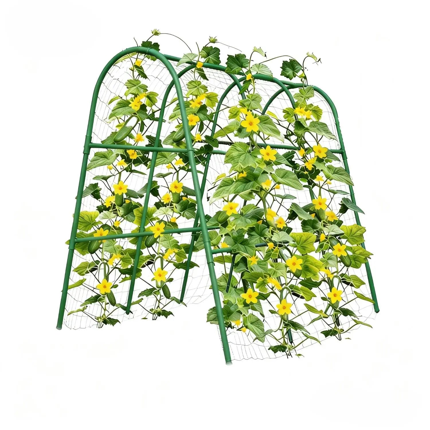 HiMISS Garden Arch Trellis For Raised Beds Plant Support - Home and Haven Store