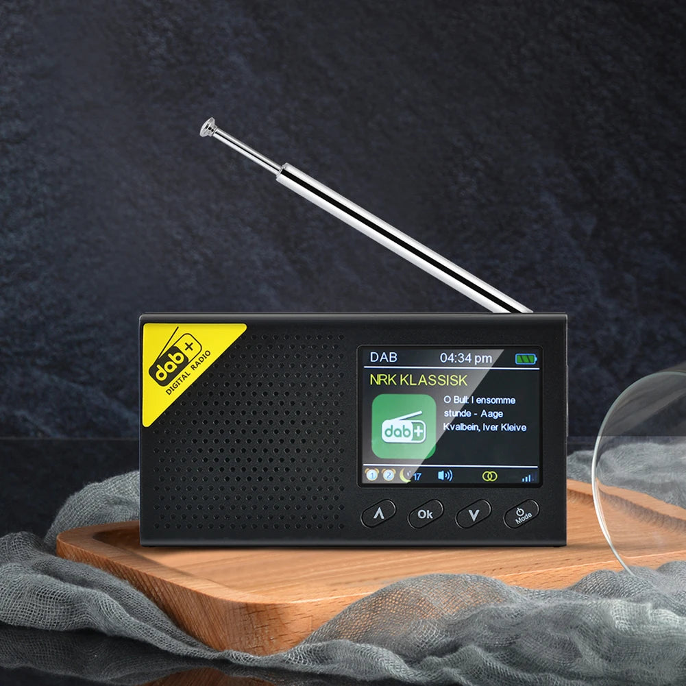 HOSPORT Portable Digital Radio Bluetooth 5.0 DAB FM Receiver - Home and Haven Store
