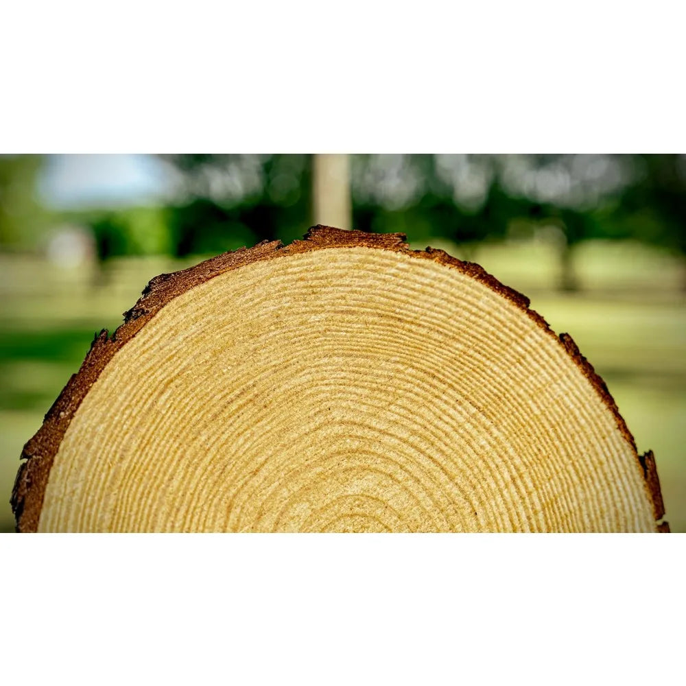 Wood Slice Centerpieces Set Of 12 Unfinished Pieces - Home and Haven Store