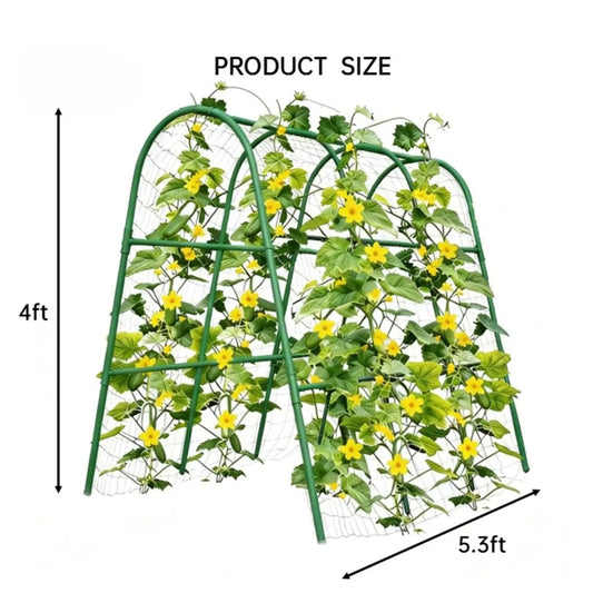 HiMISS Garden Arch Trellis For Raised Beds Plant Support - Home and Haven Store