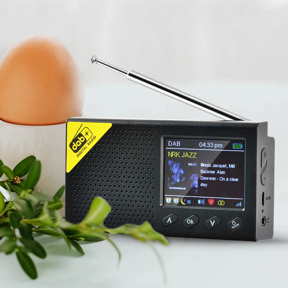 HOSPORT Portable Digital Radio Bluetooth 5.0 DAB FM Receiver - Home and Haven Store