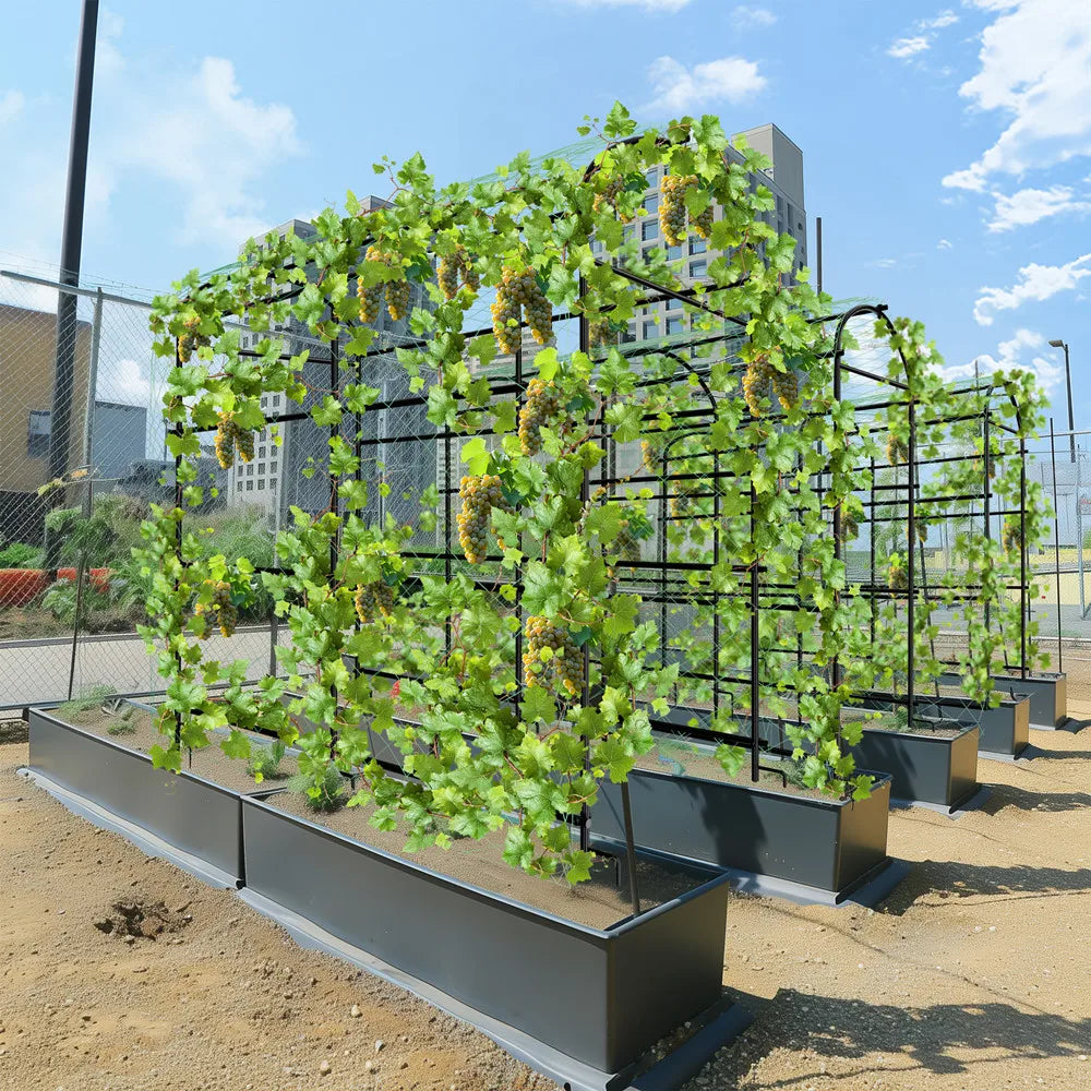 Wisfor U-Shaped Metal Garden Trellis For Climbing Plants