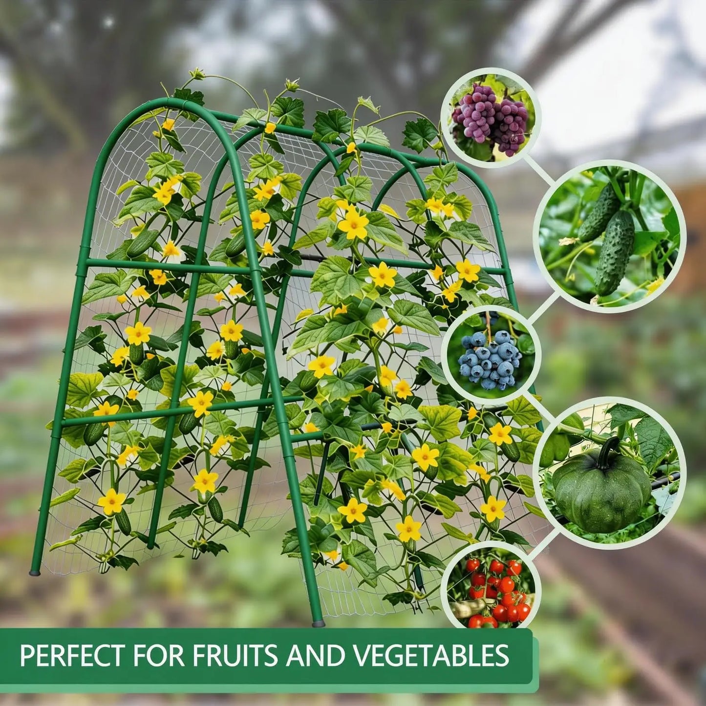 HiMISS Garden Arch Trellis For Raised Beds Plant Support - Home and Haven Store